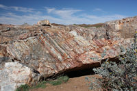 An impressive reef...